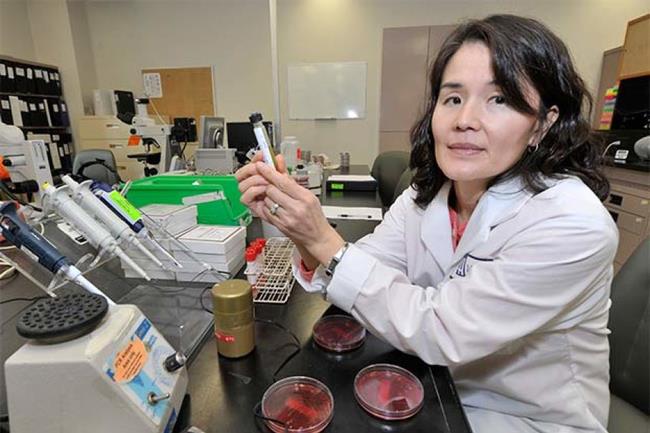 The 10 most common bacteria on mobile phones