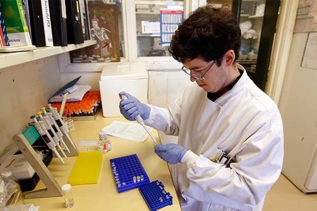 The 10 most common bacteria on mobile phones